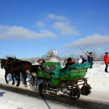 Katzengold By Interhome شقة