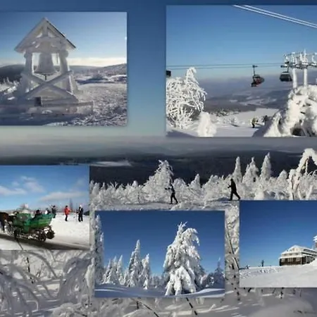 Katzengold By Interhome *