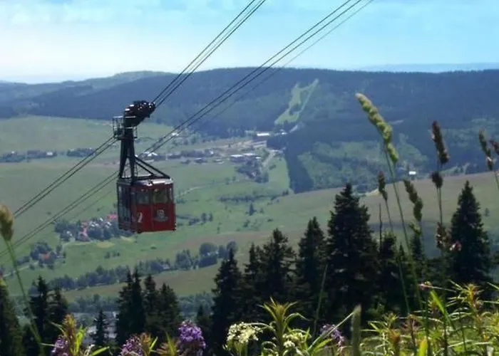 Katzengold By Interhome *