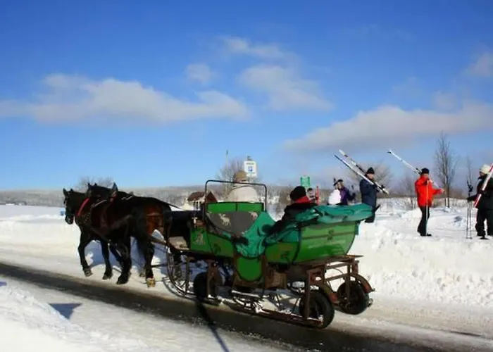 Katzengold By Interhome شقة